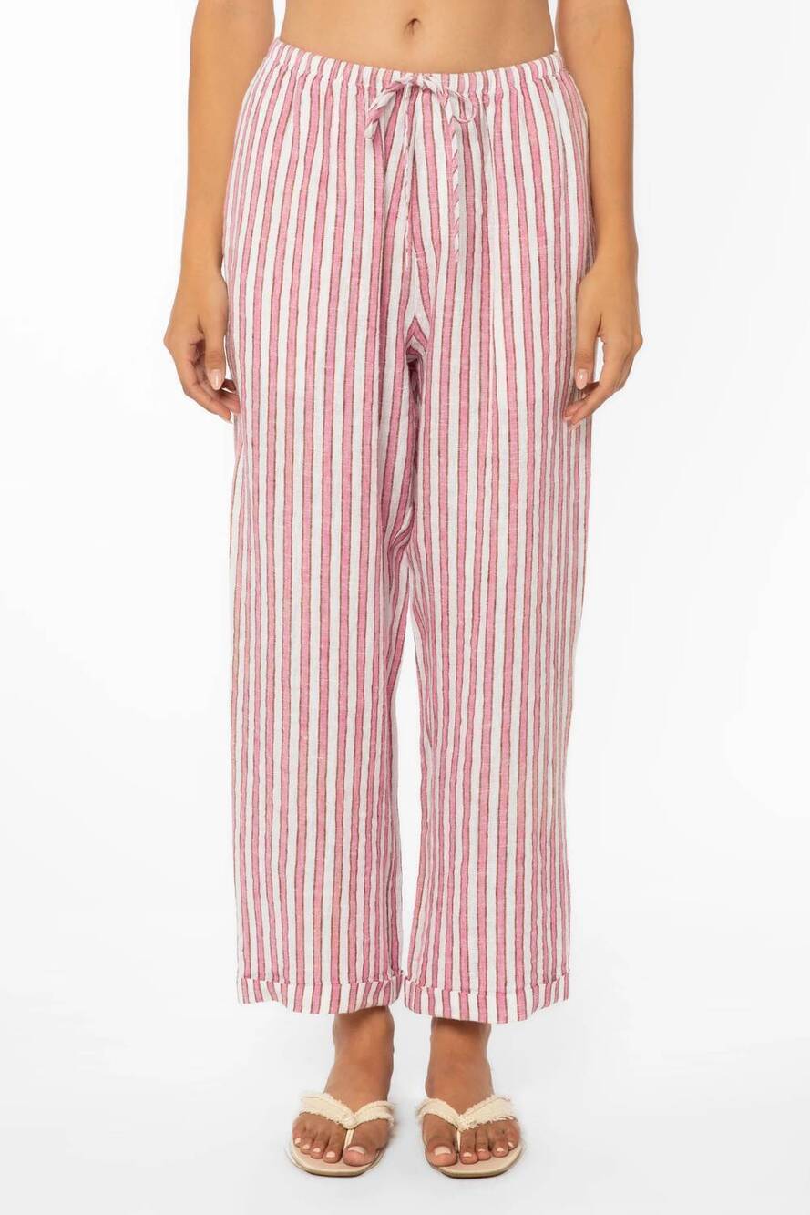 NEW VELVET HEART pierre pants in pink cacti stripe